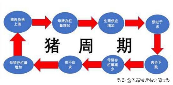 周期股的最佳投资方法,周期股投资实践