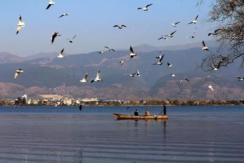 一路从南方到北方感受四季,成都最值得去的小城