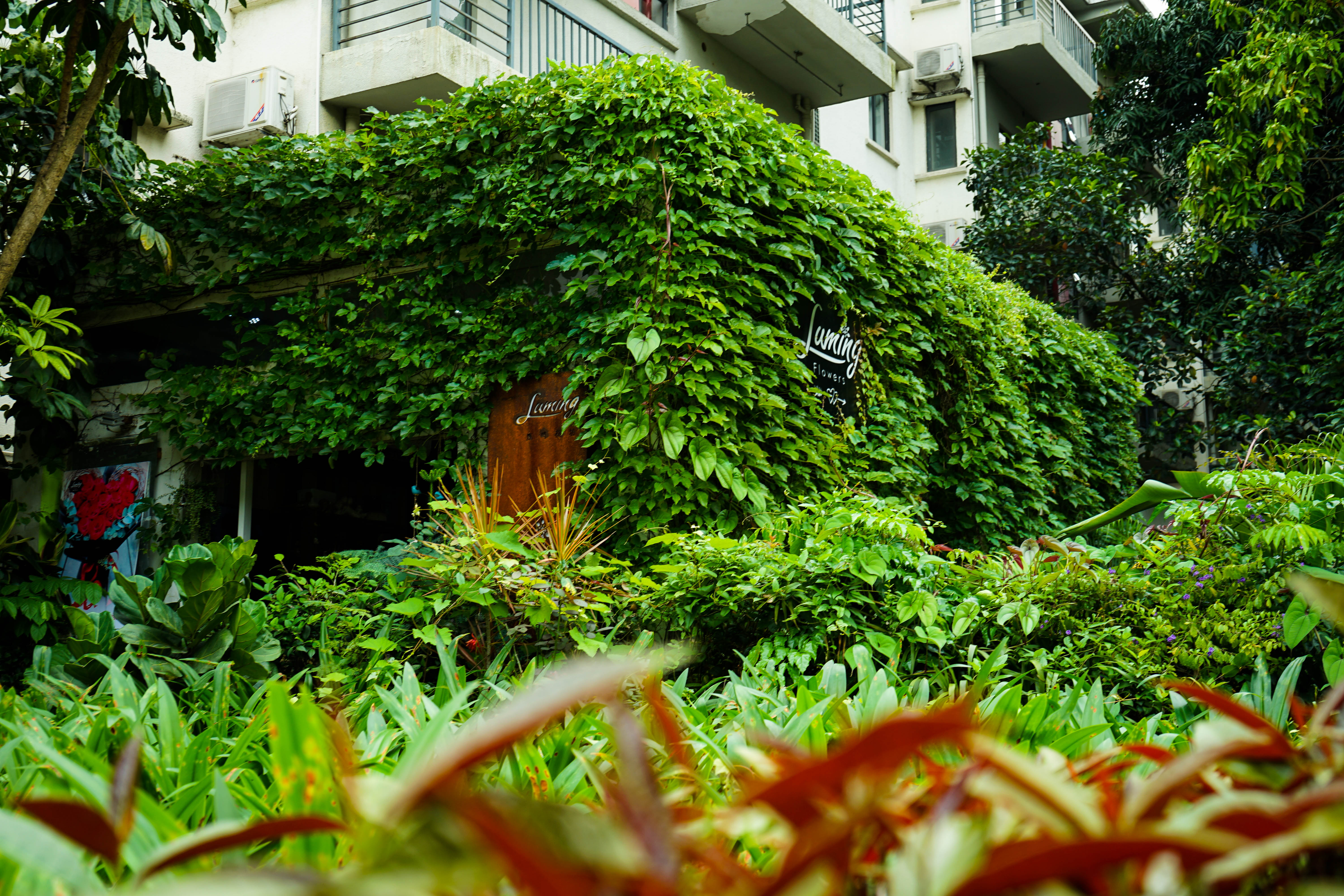 塞班岛蜜月自由行攻略,塞班蜜月旅行攻略