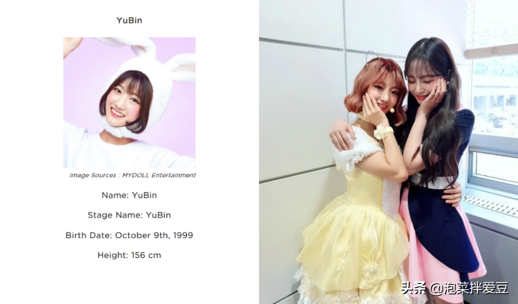 人气女团成员被换人,韩女团成员年龄差