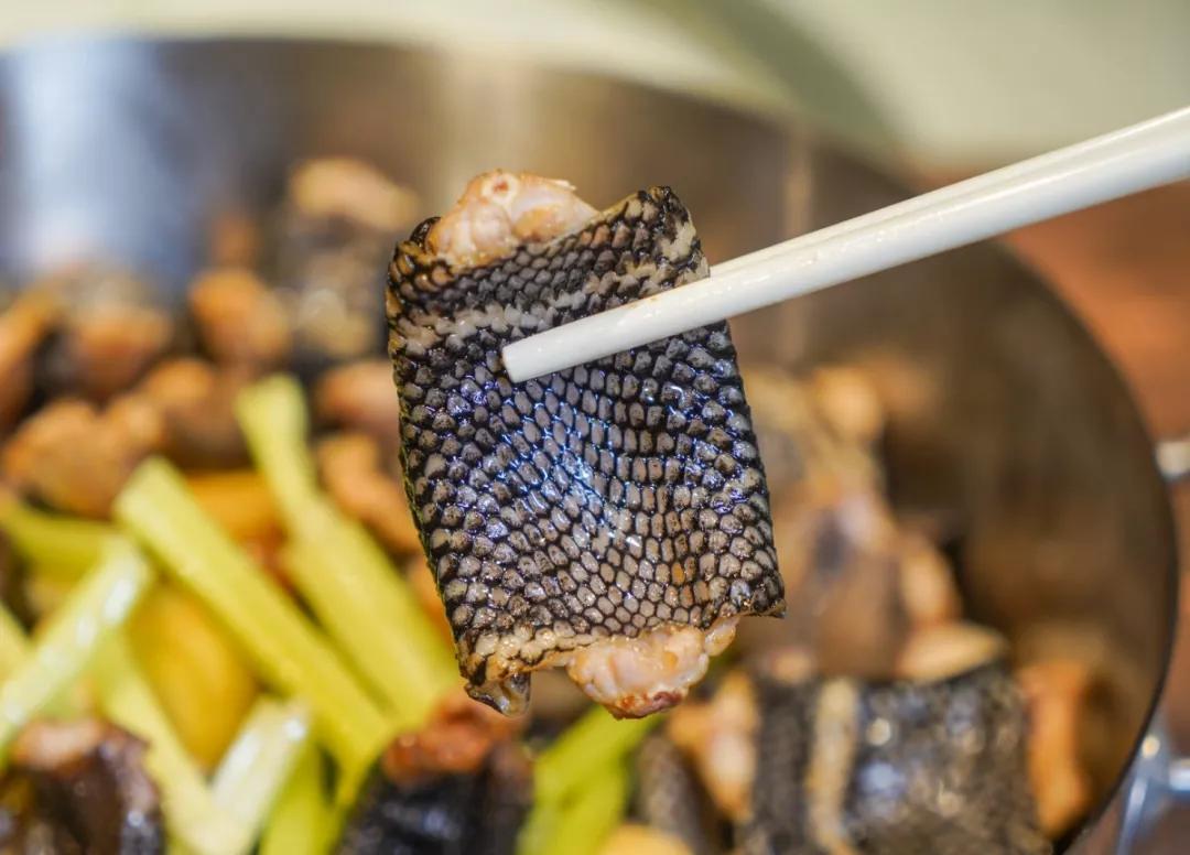 顺德最地道粤菜馆,顺德顶级粤菜招牌菜