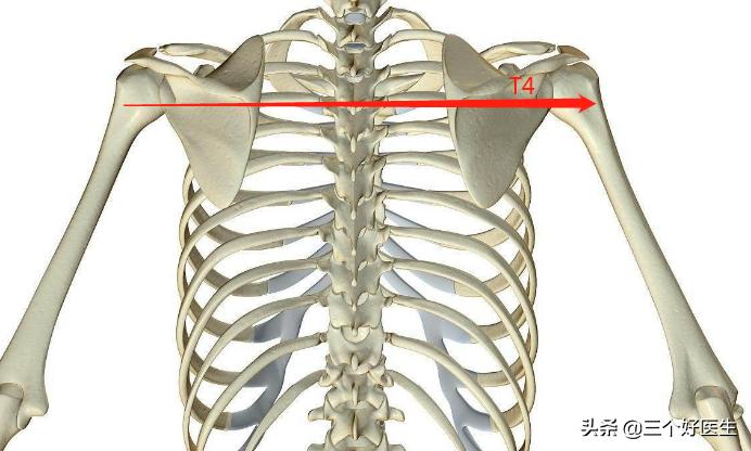 颈椎脊椎的精确定位及触诊技巧,脊椎三步定位图解