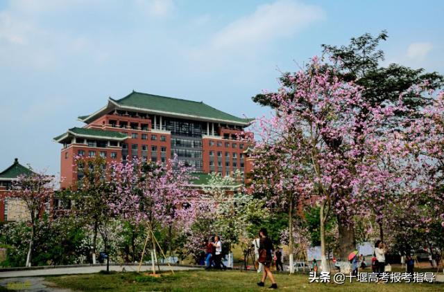 十堰星尚教育十大专业机构,十堰大学星尚教育专业介绍