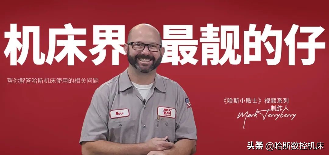 最受欢迎的哈斯,哈斯小贴士