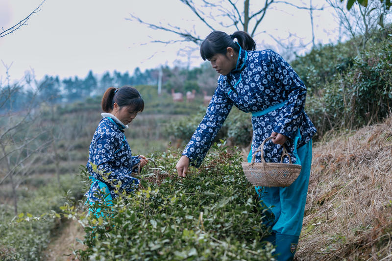 南昌月亮湾一日游最佳攻略,南昌月亮湾旅游攻略和自驾游攻略