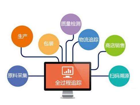 追踪一棵白菜：三个名儿三个价儿怎么来的