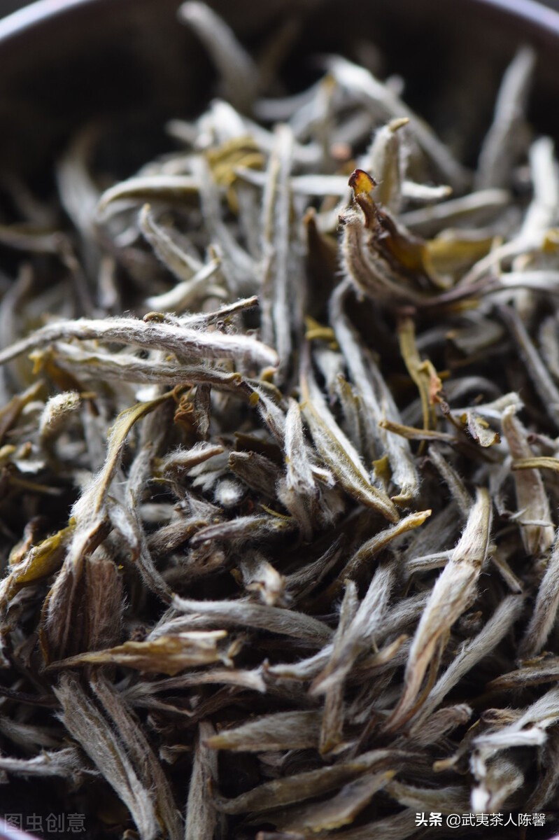 茉莉花茶清新怡人,花香味最浓的茉莉花茶