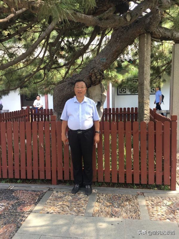 赞美美丽的雪莲花,一朵美丽的雪莲花