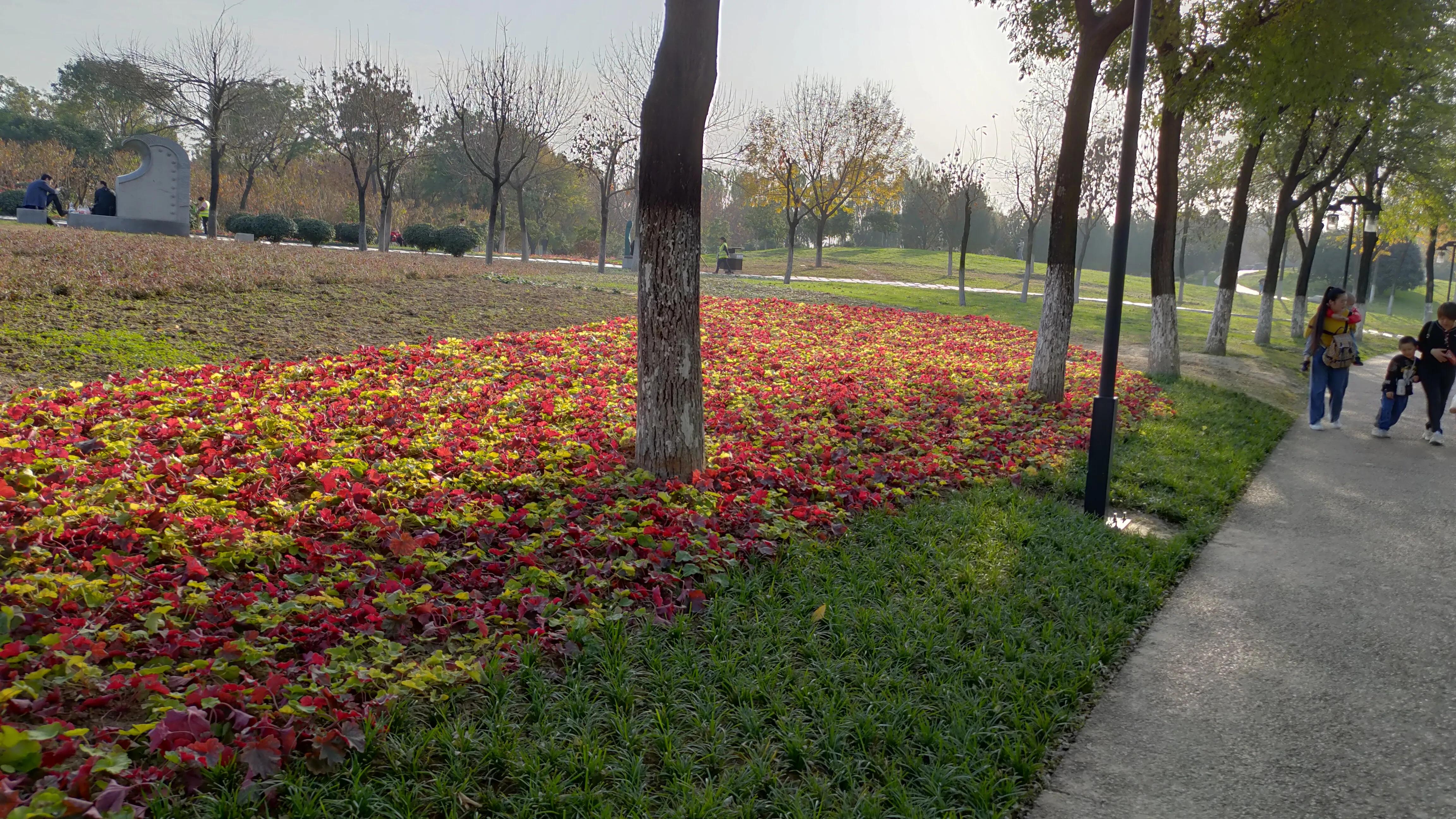 探寻西安大明宫国家遗址公园攻略,西安的大明宫遗址公园
