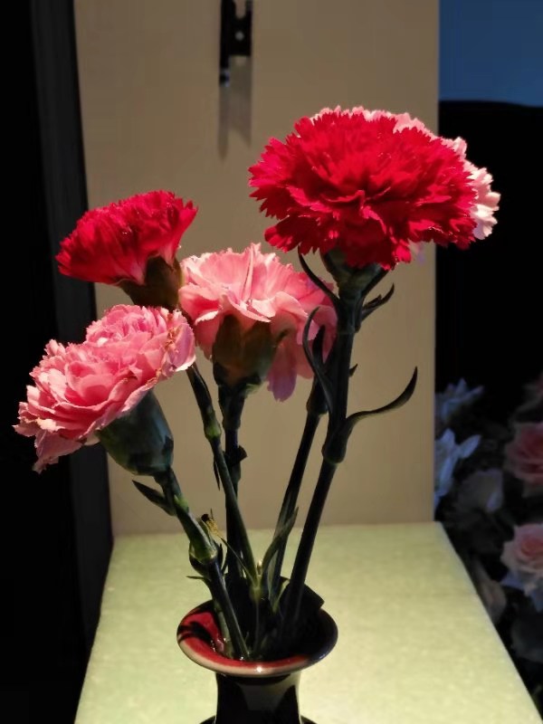 孙虎林作家专栏,孙虎林作品朗读