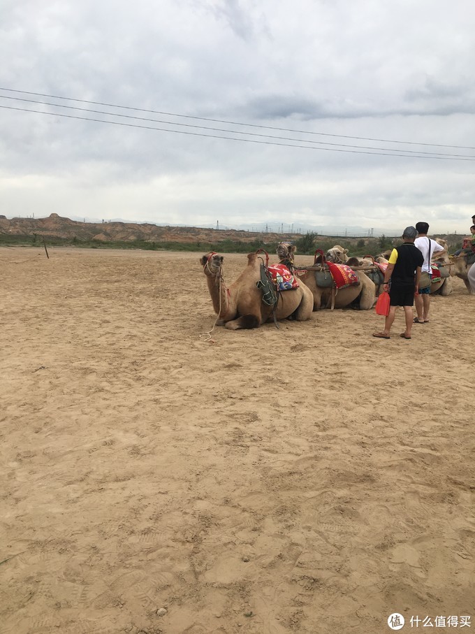 带孩子看世界篇二十二：2019暑假游（2）---大美宁夏