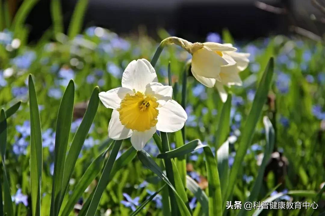 关于上火的饮食,上火的事情