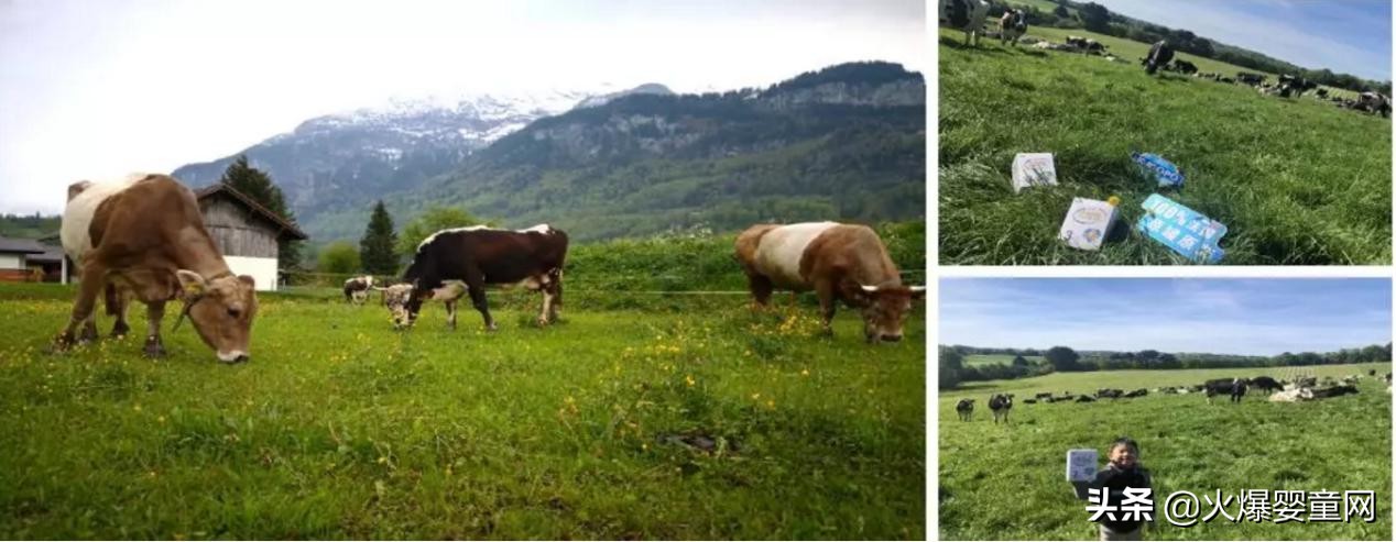 多措并举疫情防控政策,多措并举战疫情稳健运营劲更足