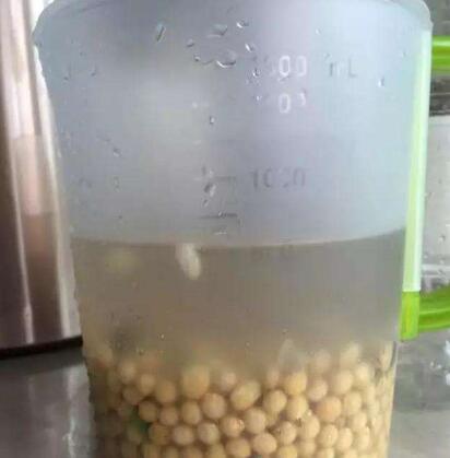 养芦荟盆大好还是小好,芦荟的养殖方法盆栽