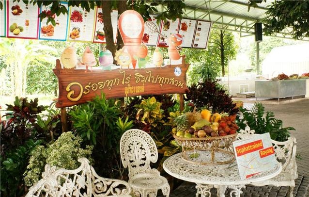 芭提雅大象园和大象村营业时间,泰国芭提雅大象园一日游