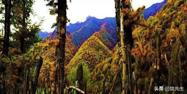 甘肃兰州最大的几个镇,兰州第一大县是哪个县