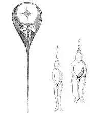 为何人类女性会来大姨妈,为什么只有人类女性有大姨妈