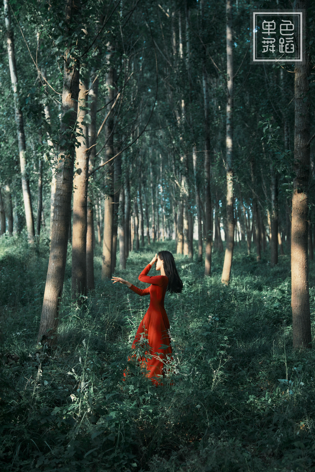 学跳舞不要被天赋蒙了眼睛,学舞蹈还被同学说跳不好