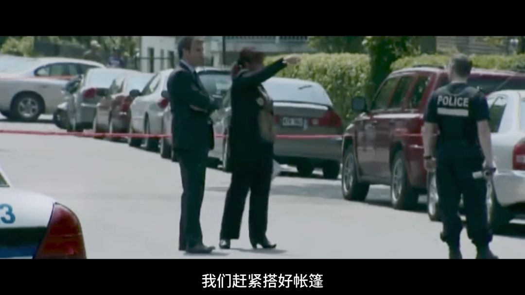 猫咪杀人案真实案例,猫咪被谋杀肢解抛尸案