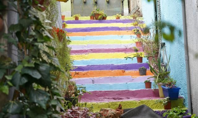 中东国家旅行攻略,中东哪个国家值得旅游