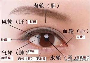 小朋友们如何治疗假性近视,小朋友假性近视怎么治疗