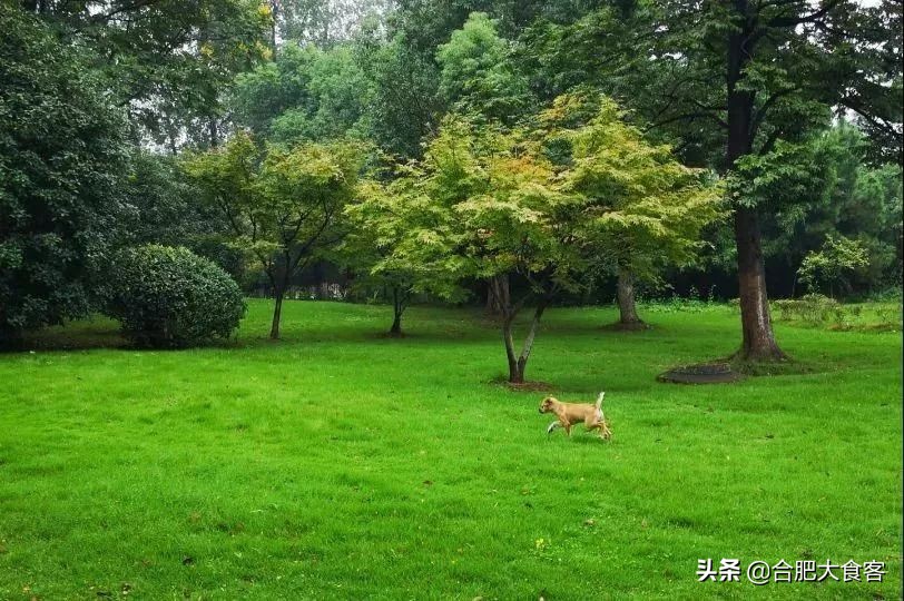 安大北门小吃街在哪里,安大旁边有什么好吃的