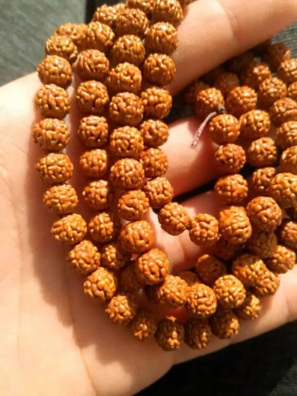 小金刚菩提鉴定视频,小金刚菩提的真假鉴别