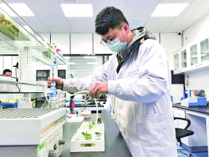 2019贵阳年货购物节,2021贵阳迎新欢乐购物节