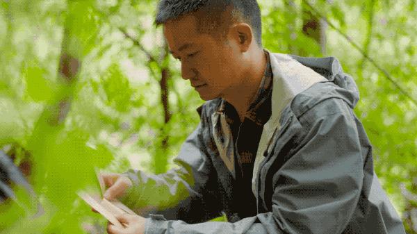 吃毒菇、睡蛇窝,只为挖一堆草,这个重庆博士要做当代神农