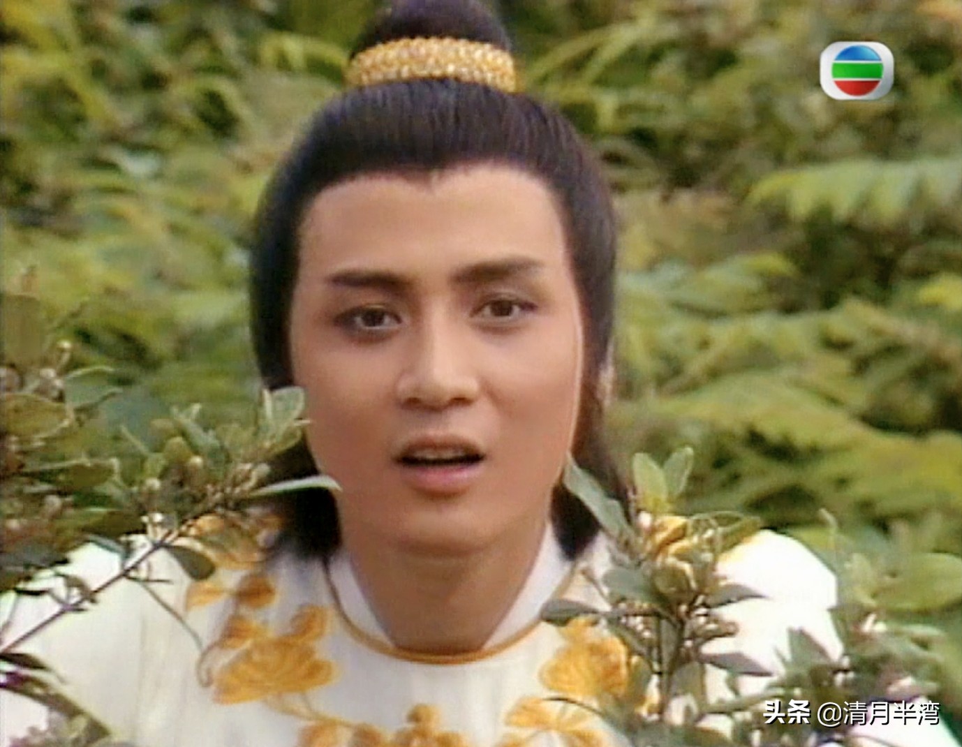 港剧老演员古装时候的颜值男神,港剧十大经典古装