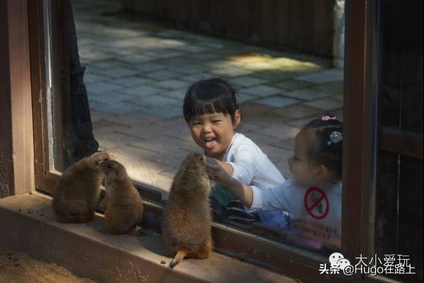 济州岛旅游攻略亲子游,韩国济州岛首尔亲子游