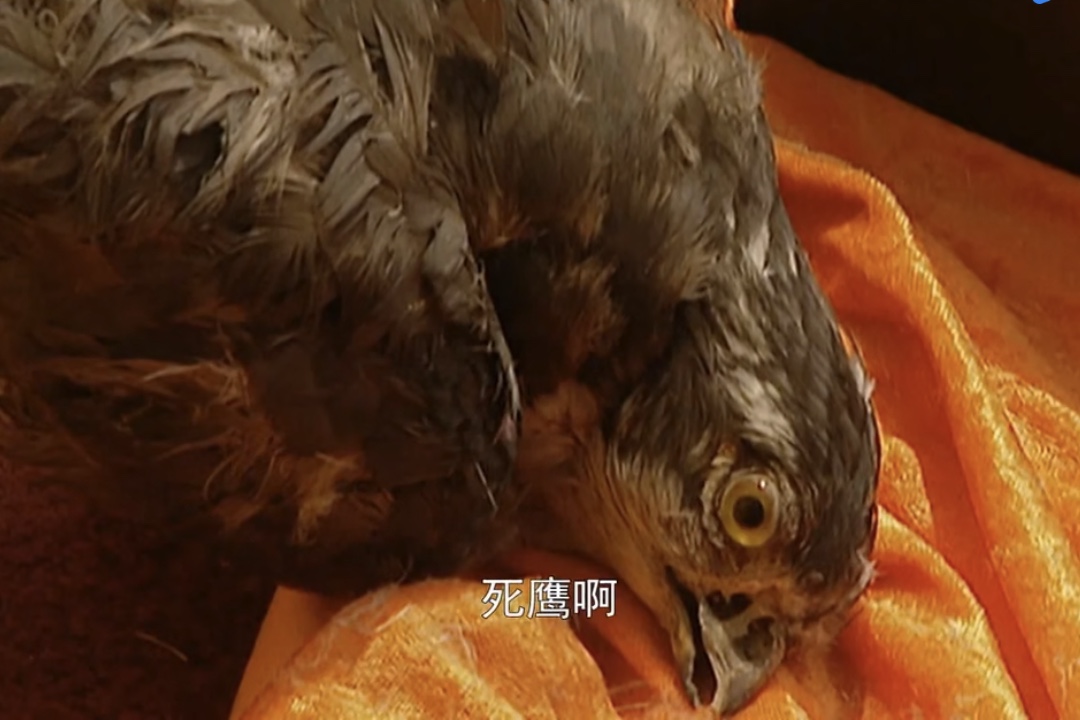 雍正王朝小人物鄂伦岱,雍正王朝天石