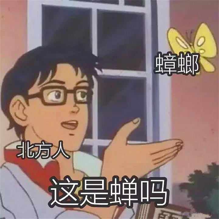 一只蟑螂被砍了头最多能活多久,蟑螂被杀后能活多久