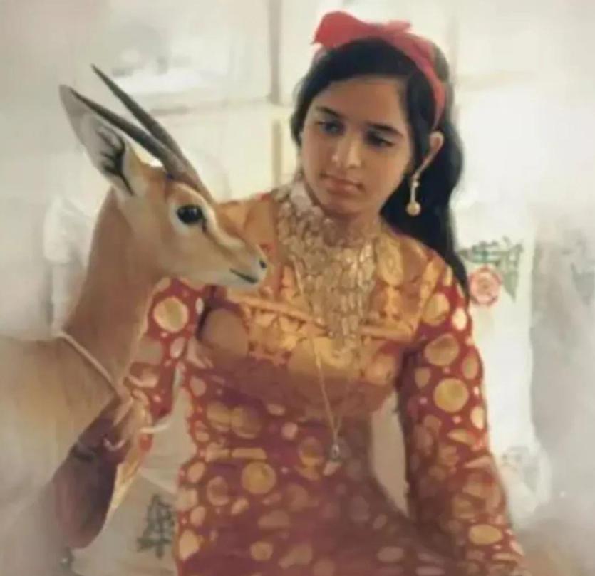 迪拜酋长穆罕默德再娶了吗,迪拜酋长穆罕默德坐拥百亿资产