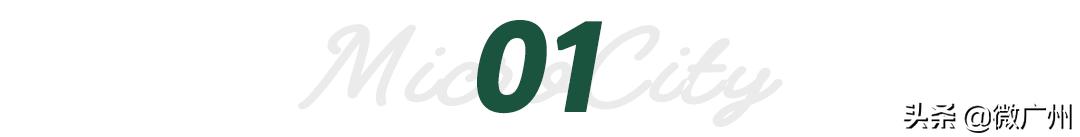 广州市奶牛研究所几点过去买牛奶,广州白云山奶牛研究所