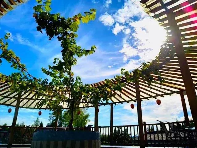 3天揽金3.04亿元!通江吸引近40万人!到底有啥厉害?