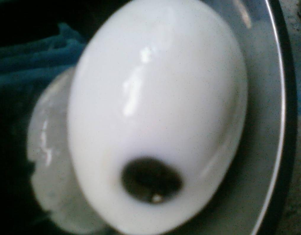 水煮鸡蛋打开蛋黄有小黑点能吃吗,蒸鸡蛋像没熟一样能吃吗