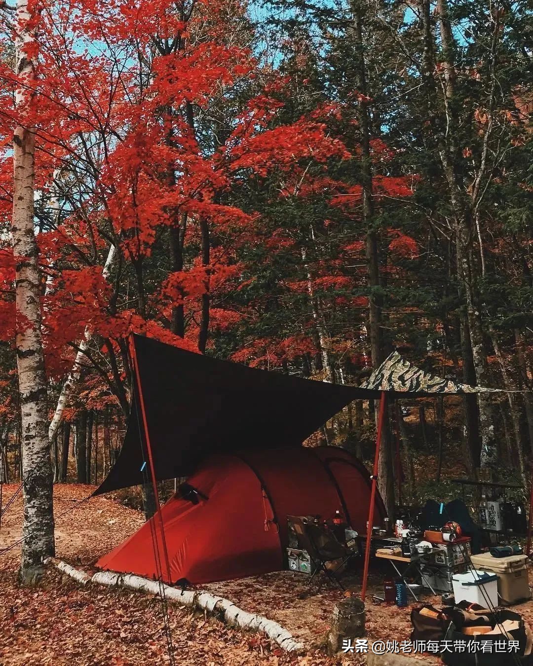 最任性的爱豆！红遍亚洲的组合因他休团，他却只想钓鱼和露营