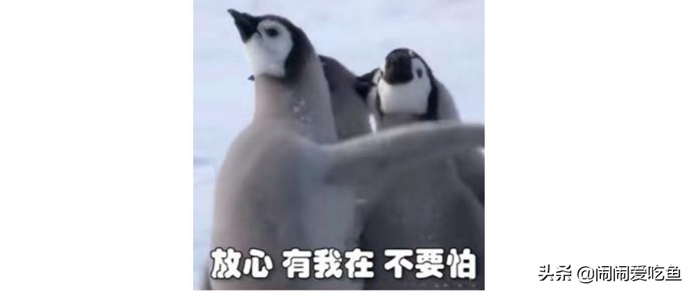 纯净水弱碱水富氢,自来水矿物质水纯净水有什么区别