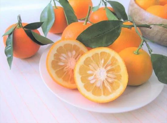 日本人为什么喜欢吃橘子,日本过年为什么吃橘子