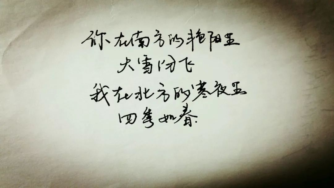 许昌大雪最新消息,许昌大雪