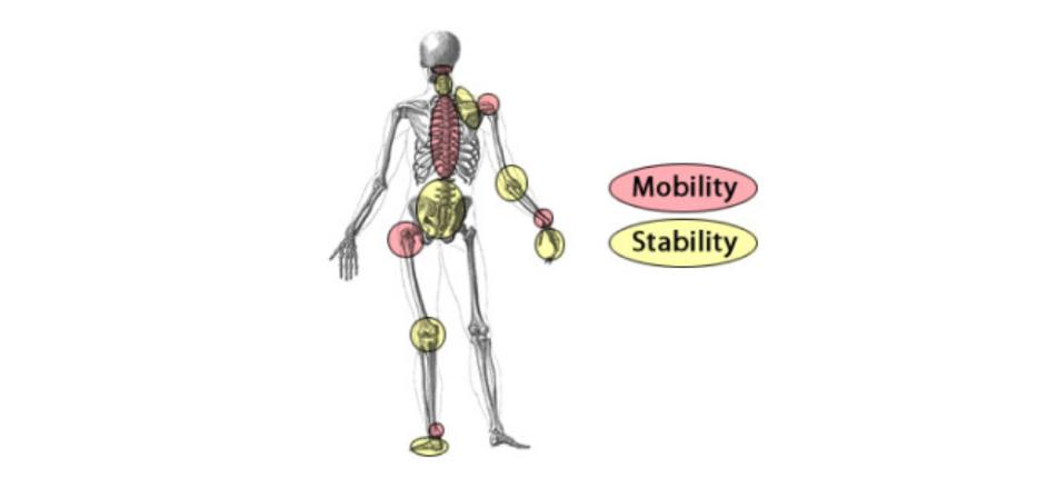 顽固性腰痛怎么治愈,困扰多年的腰疼问题终于搞清楚了