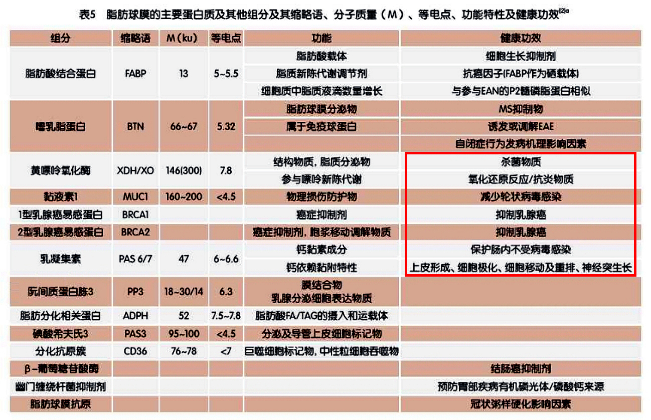 婴儿奶粉含天然乳脂有哪款 (三段含乳脂球膜的奶粉)