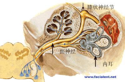面部吹点冷风，发现眼睛闭不上了，嘴巴也歪了，到底是咋回事儿？