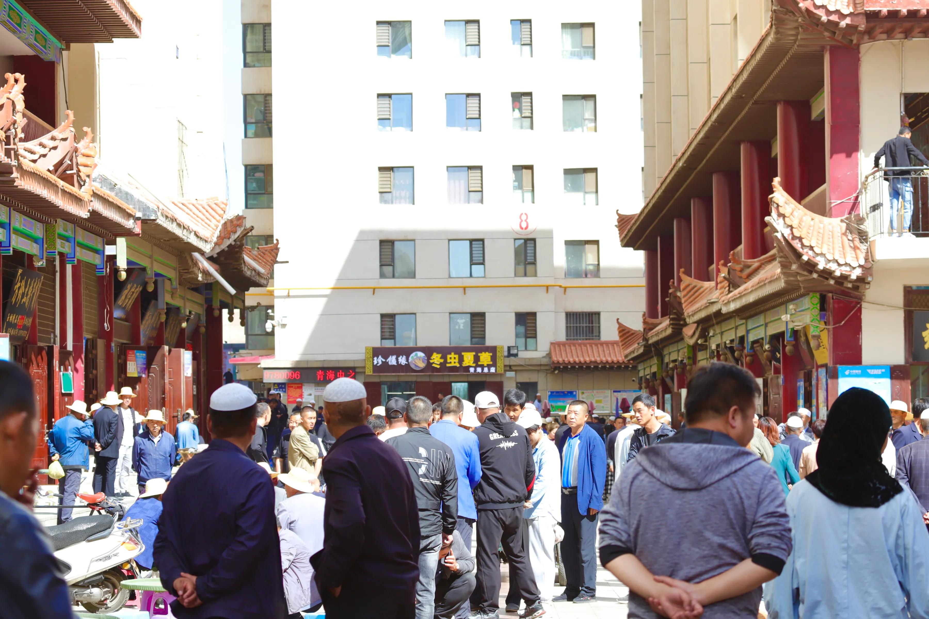 中国最大虫草市场,全国最大冬虫夏草集散地