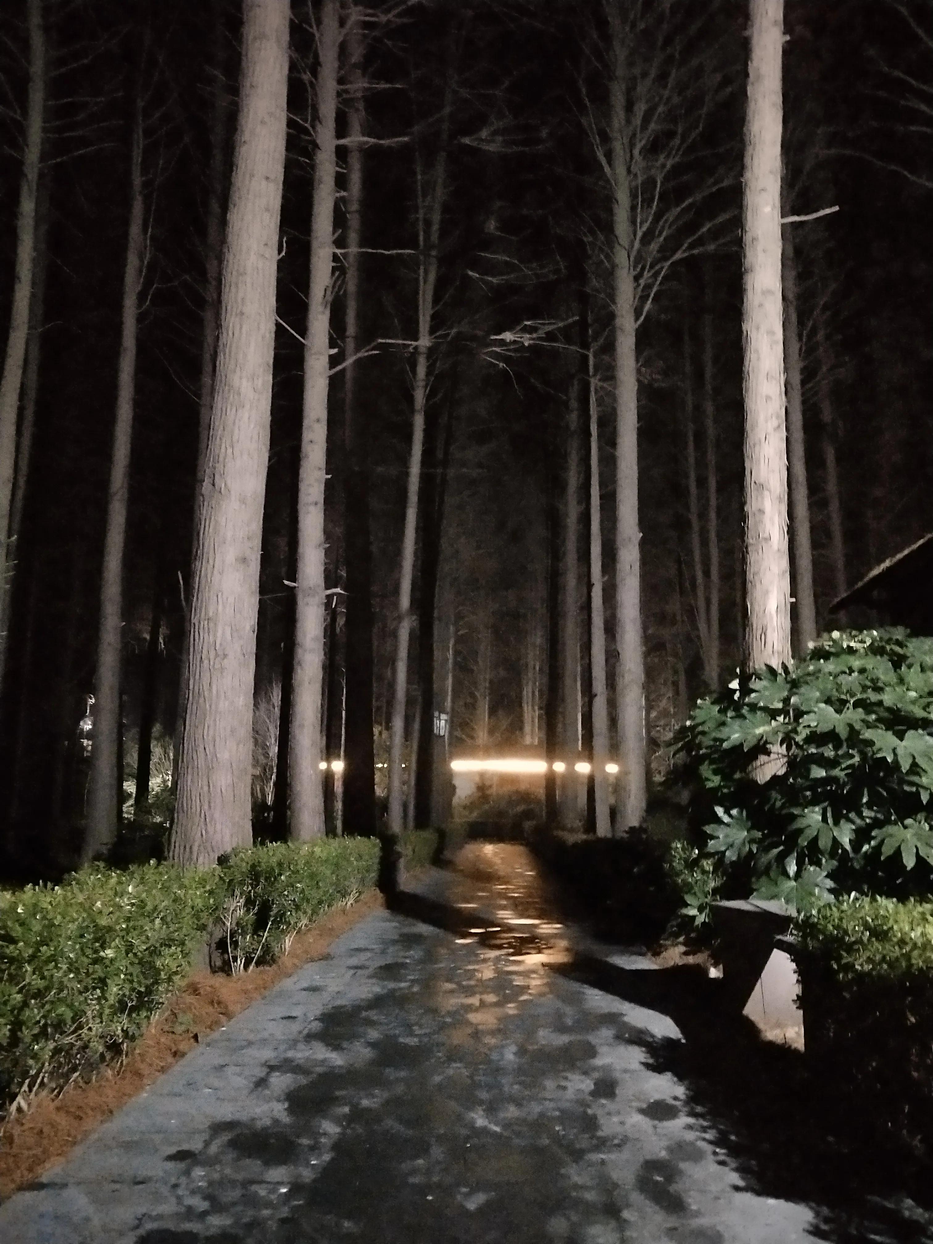 乐逍遥创作的原声,乐逍遥武侠歌曲