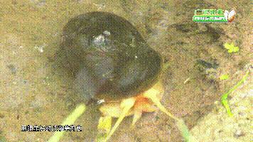 中国用了占世界多少的耕地,我国用占世界百分之几的耕地