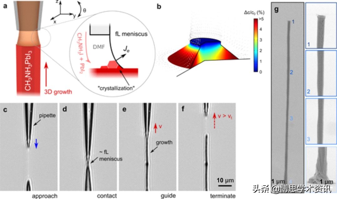 advancedscience封面图片,advancedengineeringmaterials