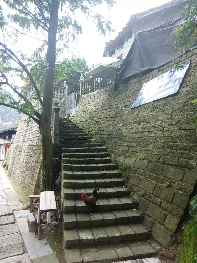 一个让人流连忘返的地方，山清水秀，只需要坐在河边发呆就行。