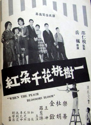 肥姐沈殿霞故事直播,肥姐沈殿霞的故事